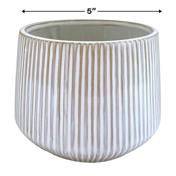 Indoor Ivory Lines Ceramic Planter, 5x4