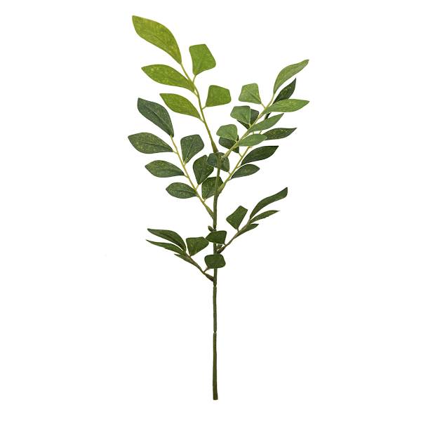 Willow Crossley Green Smilax Vine Pick, 10"