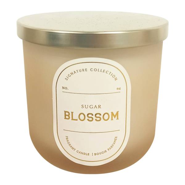 Sugar Blossom Scented Jar Candle, 12.5oz