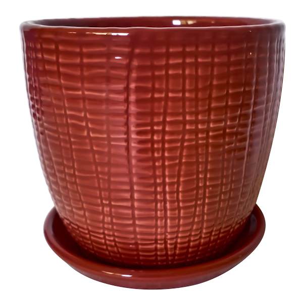 Indoor Picante Red Tulip Ceramic Pot with Saucer, 5"