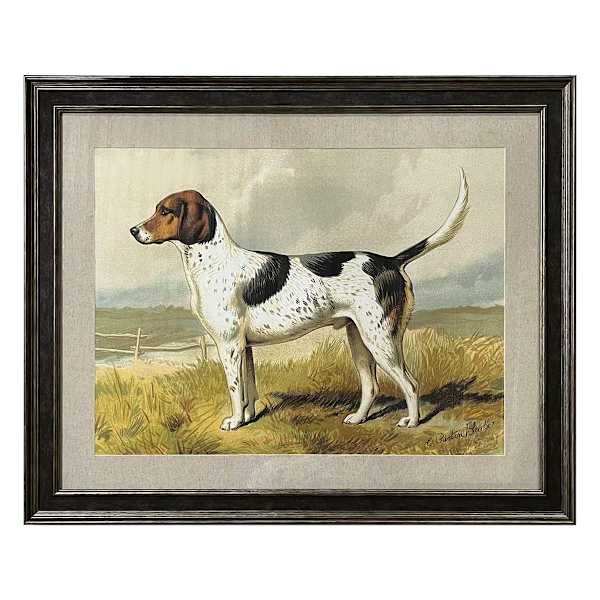 Providence Glass Framed Fox Hound Print Wall Art, 32x26