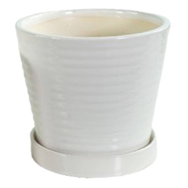 Indoor White Ceramic Ring Pot, Medium