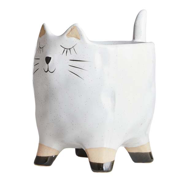 Indoor Ceramic Cat Pot, 5.6"