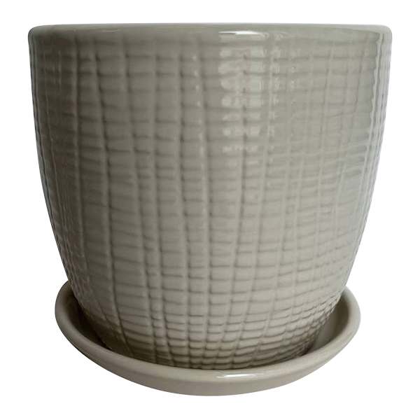 Indoor Tulip Pot, Cream