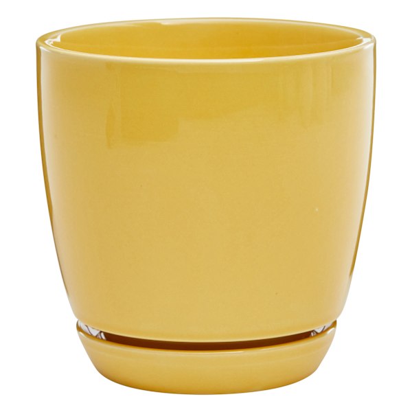 Indoor Elsie Yellow Stoneware Ceramic Pot, Small