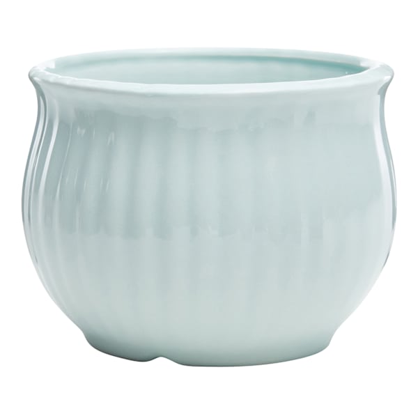 Providence Indoor Light Blue Cabbage Planter, 5.5"