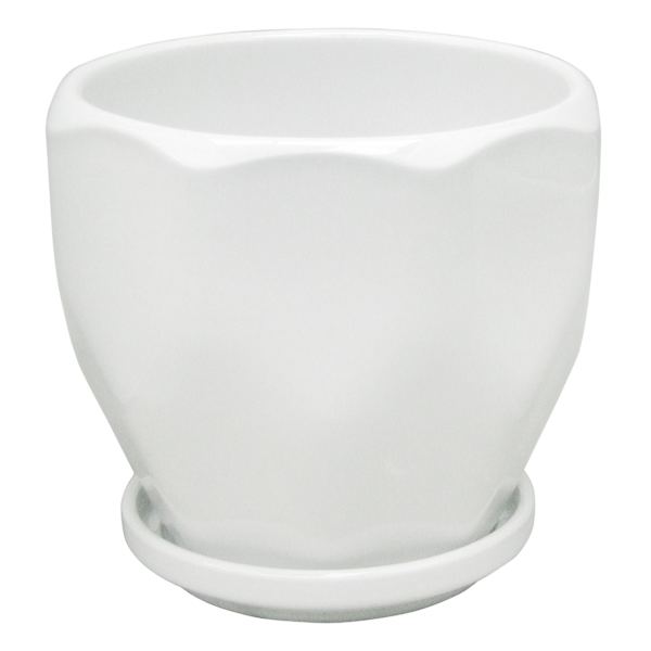 Indoor Hexa White Ceramic Pot, Small