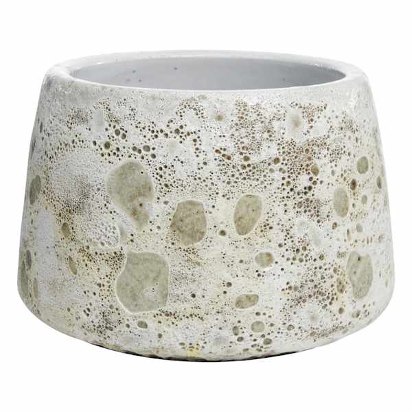Ty Pennington Indoor White Ceramic Atlantis Planter, Medium