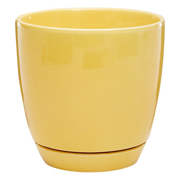 Indoor Elsie Yellow Stoneware Ceramic Pot, Medium