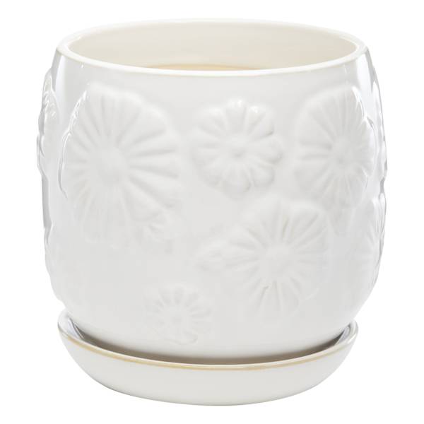 Indoor White Daisy Pot, Medium