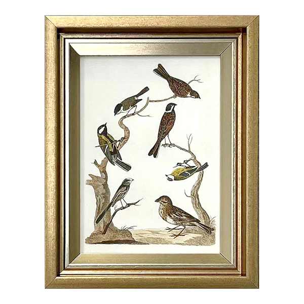 Providence Birds in Nature Table Sign, 7x9