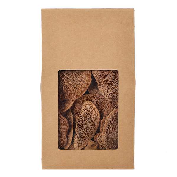 Dried Filler Orbs