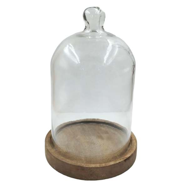 Honeybloom Glass Cloche with Wood Base, 10.5"