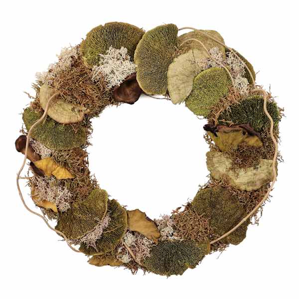 Honeybloom Dried Mushroom Wreath, 18"