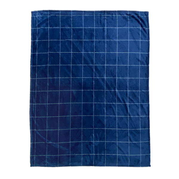 Blue Windowpane Micro Plush Throw Blanket, 50x60