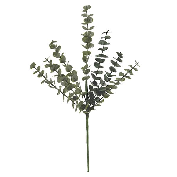 Eucalyptus Spray, 23"