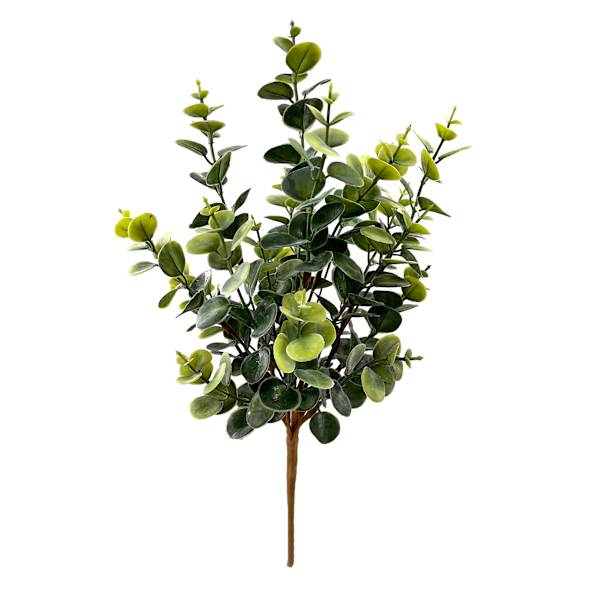 Eucalyptus Bush, 16"