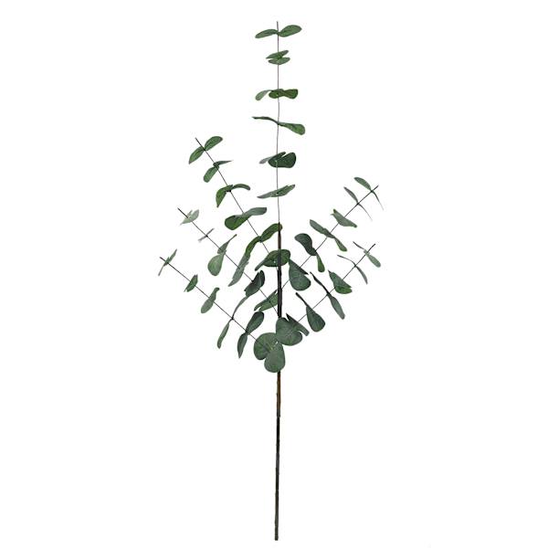 Eucalyptus Spray, 30.5"