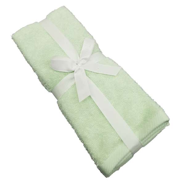 2-Pack Aqua Cotton Hand Towels, 15x25