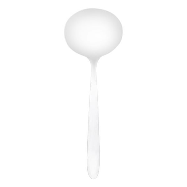 Bistro Stainless Steel Ladle