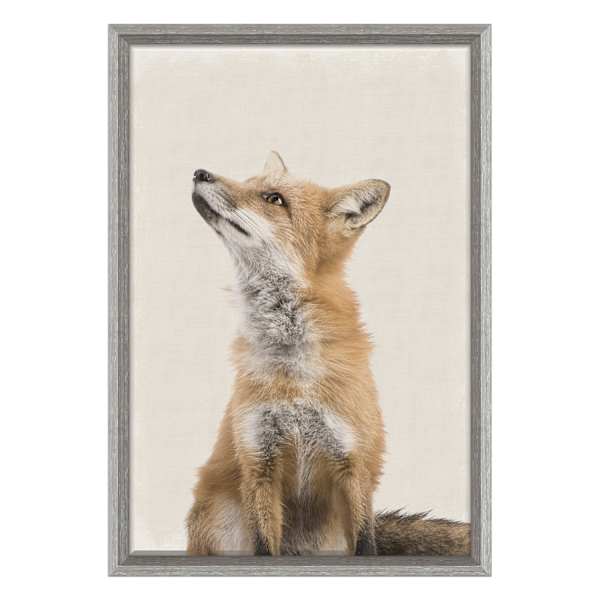 26x18 Wondering Fox Framed Canvas