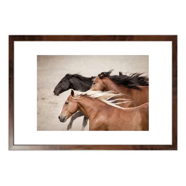 26x38 Brown Running Wild Horses Framed Art Under Glass