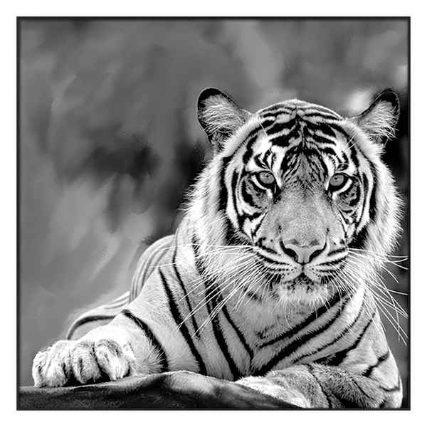 Glass Framed Tiger Print Wall Art, 27"
