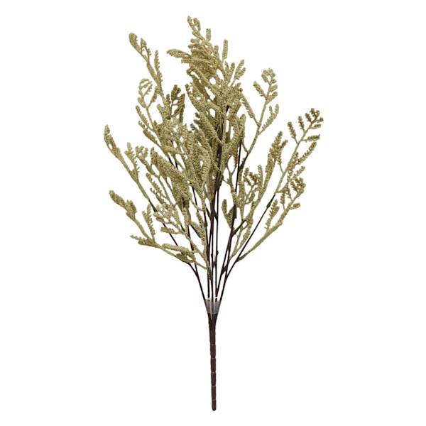 White Harvest Bush, 24"