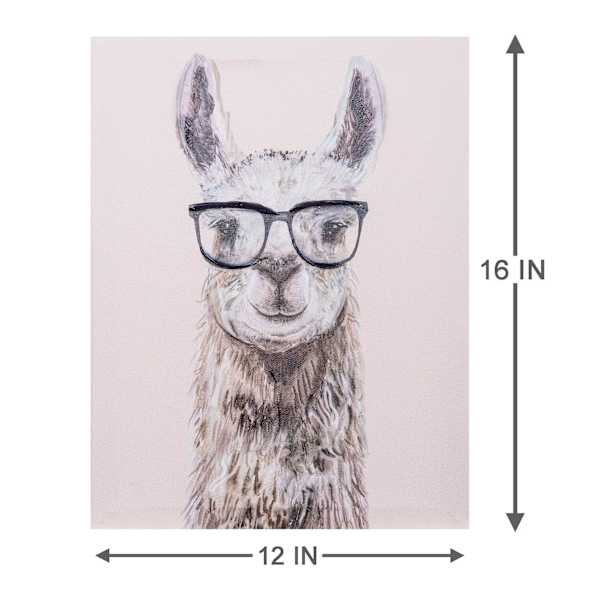 Llama Glasses Canvas Wall Art, 12x16