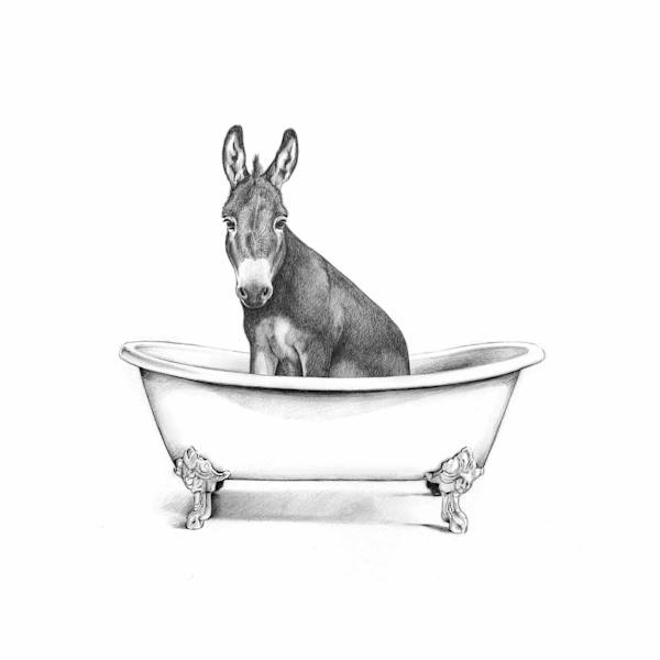 Farm Donkey in Bathtub Canvas Wall Art, 12x16