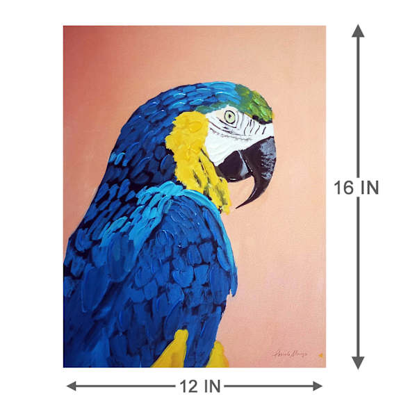 Parrot Canvas Wall Art, 12x16