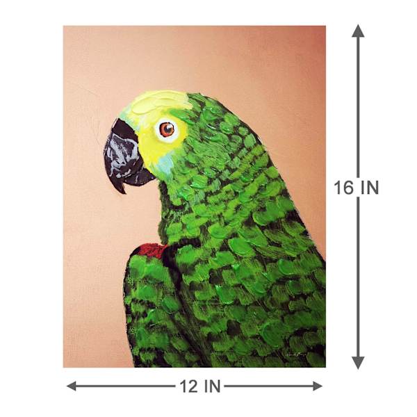 Parrot Canvas Wall Art, 12x16