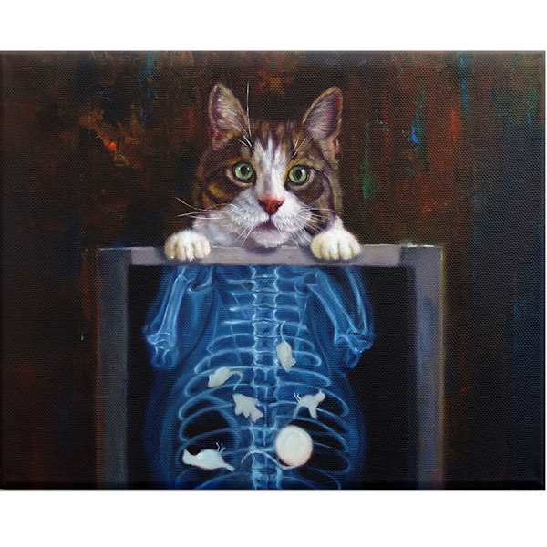 X-Ray Cat Canvas Wall Art, 16x12