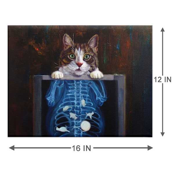 X-Ray Cat Canvas Wall Art, 16x12