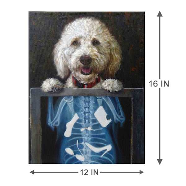 X-Ray Dog Canvas Wall Art, 12x16