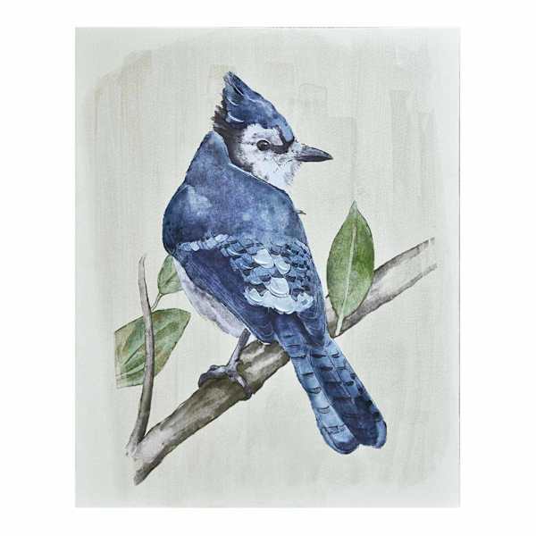 Providence Bird Canvas Wall Art, 11x14