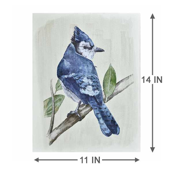 Providence Bird Canvas Wall Art, 11x14