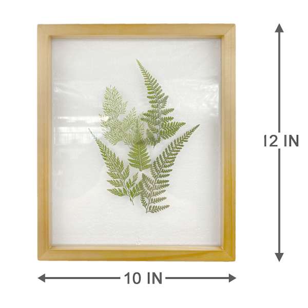 Honeybloom Glass Framed Botanical Wall Art, 10x12