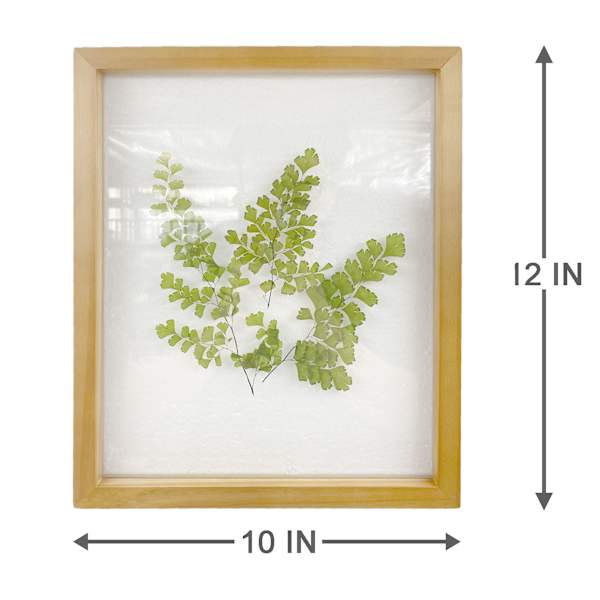 Honeybloom Glass Framed Botanical Wall Art, 10x12