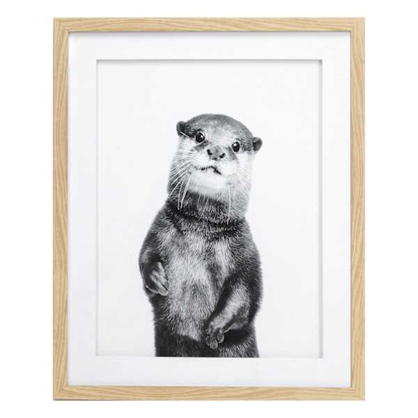 Glass Framed Otter Wall Art, 17x21