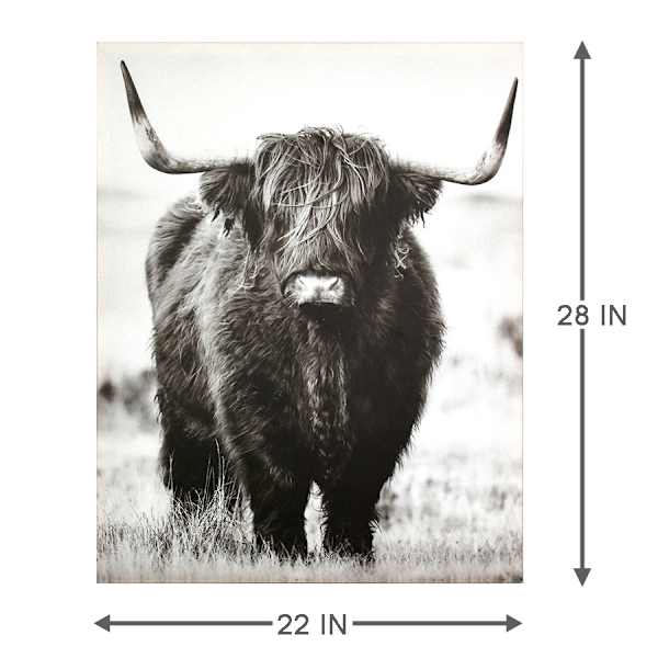 Ty Pennington Highland Cow Canvas Wall Art, 22x28