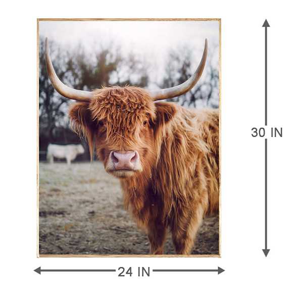 Ty Pennington Framed Highland Cow Canvas Wall Art, 24x30