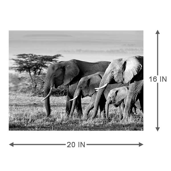 African Elephants Canvas Wall Art, 20x16
