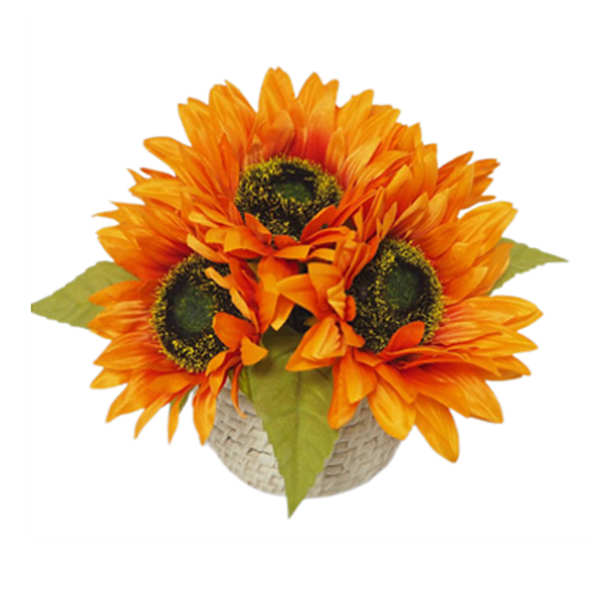 Orange Sunflower Arrangement in Pot,11"