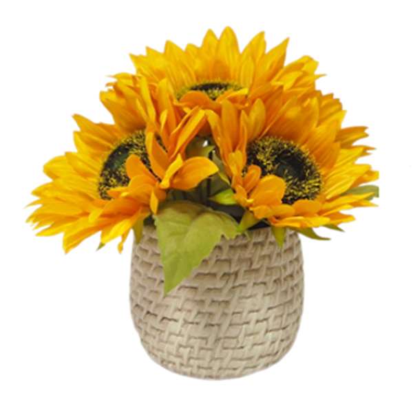Yellow Sunflower Arrangement in Pot, 11"