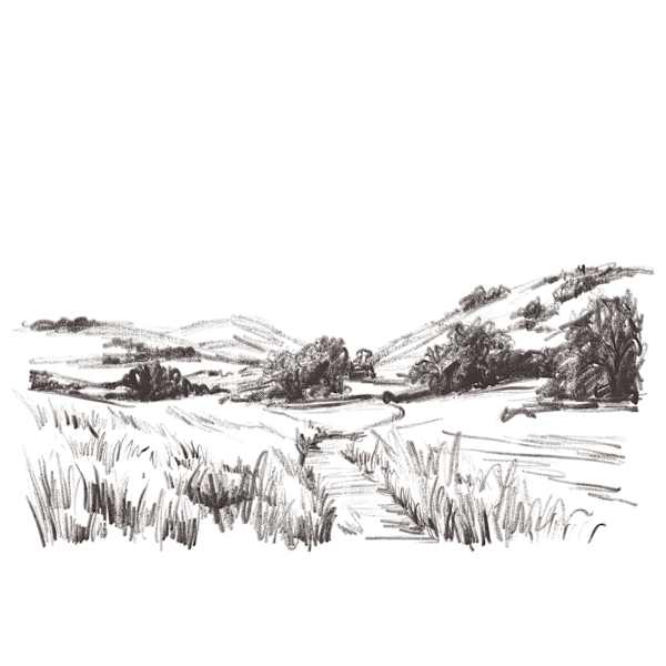 Charcoal Landscape Canvas Wall Art, 28x22