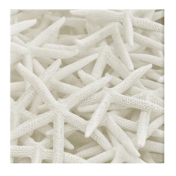 Ty Pennington Starfish Canvas Wall Art, 30"