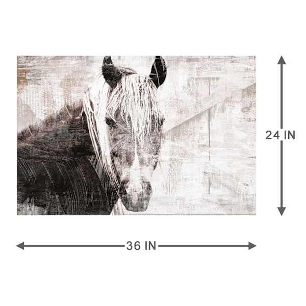 Horse Portrait Canvas Wall Art, 36x24