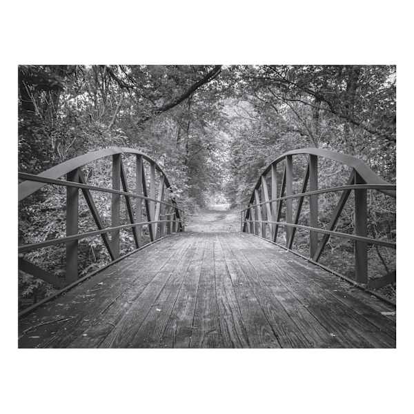 Forest Bridge Canvas Wall Art, 40x30