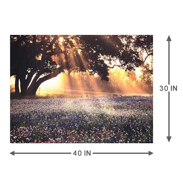 Morning Light Canvas Wall Art, 40x30